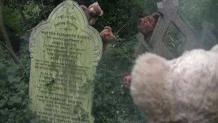 Misery bear - dawn of the ted