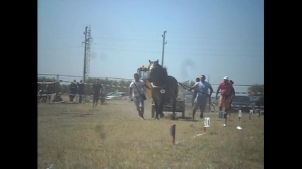 kone Kneja 01.09.2012