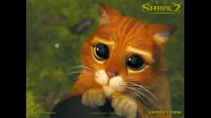 Песничка от Shrek 2 (: 