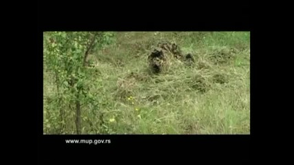Serbian Special Forces - Saj - vol.2 