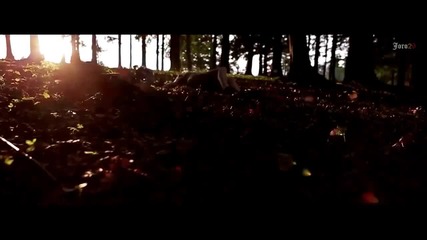 Tony Ray feat. Gianna - Chica Loca (official Music Video Hd)