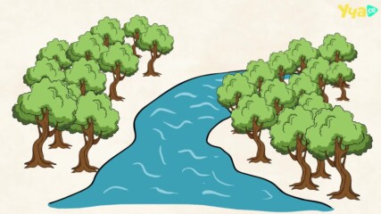 Какво са крайречните гори и защо са толкова важни?