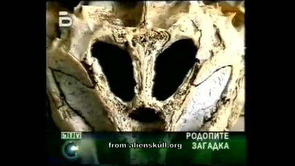Извънземен череп намерен в Източните Родопи