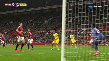 Goal by Crystal Palace