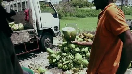 Rihanna- Cheers Drink To That
