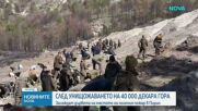 След унищожението на 40 хиляди декара гора: засаждат дървета на мястото на големия пожар в Пирин