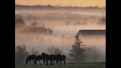 Lisa Gerrard - One Perfect Sunrise 
