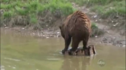 Смешни и Забавни