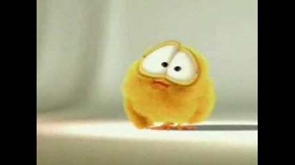 chick
