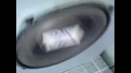 Bass Test