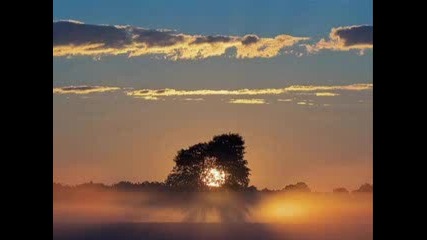 Tim Janis - A Thousand Summers