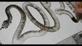 Рисуване на змия с един размах