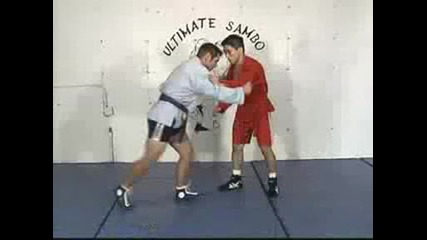 Sambo Techniques