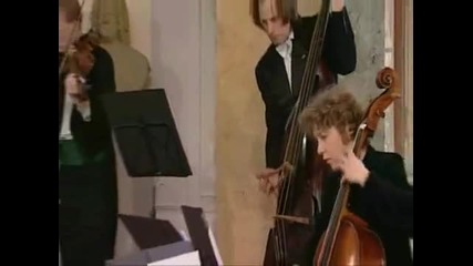 J. S. Bach - Brandenburg Concerto No.3-1 Allegro Moderato