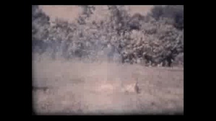 Kansas - Dust In The Wind