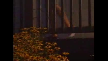 Пародия На Troy Bolton - Bet On It - :d Голям Смях