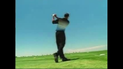 Rg Bear - Golf (1)