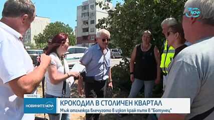 Новините на NOVA (06.08.2024 - централна емисия)