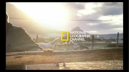 National Geographic Advertisement
