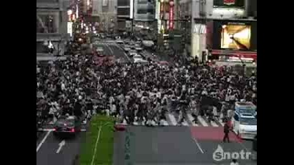 трафик на светофар в Япония 