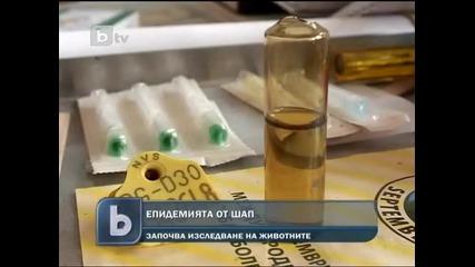 Епидемията от шап