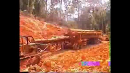 Off - Road Borneo