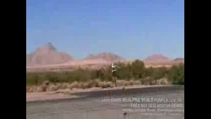 Trex 600 Helicopter - Amazing Tricks