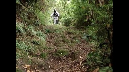 Trailificated - Mountain Bike Movie