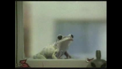 Jabi naduvat baloni