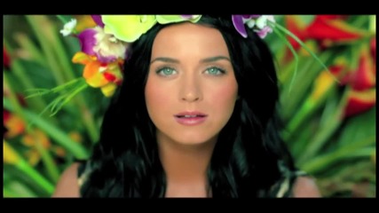 Katy Perry - Roar (music video remix)