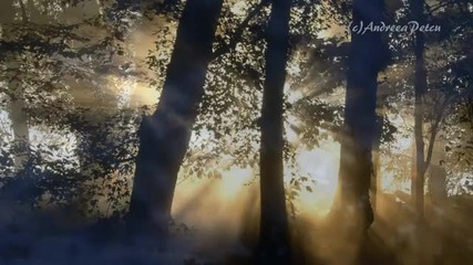 Secret Garden - Nocturne