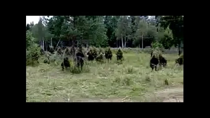 Яка маскировка на разведки