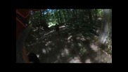 Riding in the woods - Mtb