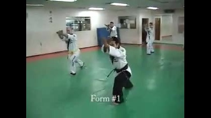 Hapkido техники 