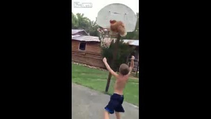 Баскет с кокошка