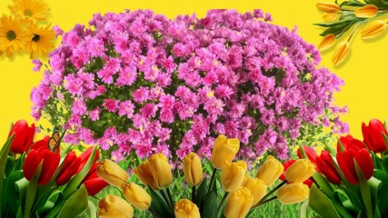 8 марта- Дарите женщинам цветы ( проект)