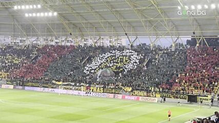 Хореография на феновете на Ботев