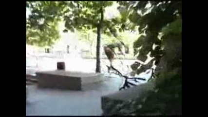 Trials Biking Video Amazing
