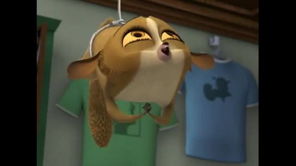 he Penguins of Madagascar - The Red Squirrel