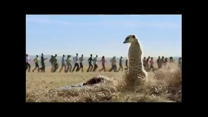Pepsi reklama :d