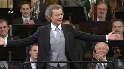 Johann Strauss Vater - Radetzky Marsch (vienna 2011 New Year Concert)