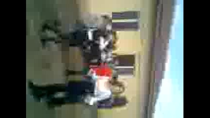 selo siedinenie