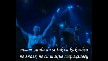 Ceca - Kukavica