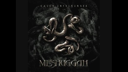 Meshuggah - Autonomy Lost /disenchantment 