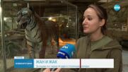 Черни ягуари вече са сред питомците на зоопарка в София