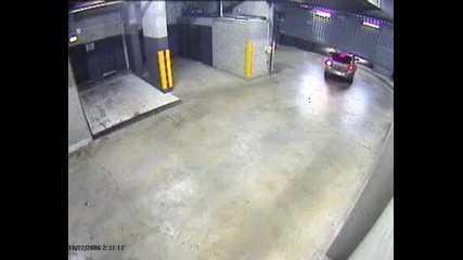 stupid driver 