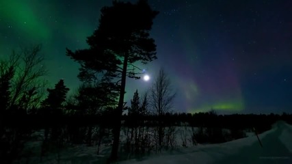 Красивото полярно сияние над Норвегия.