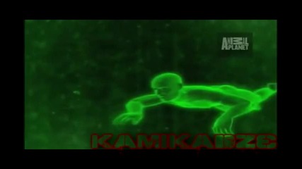 Top 10 Odd Animal Couples: Snappers Parasites 
