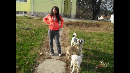 Movie 2010