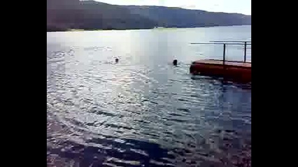 hvarlqne glavi4ka dospat